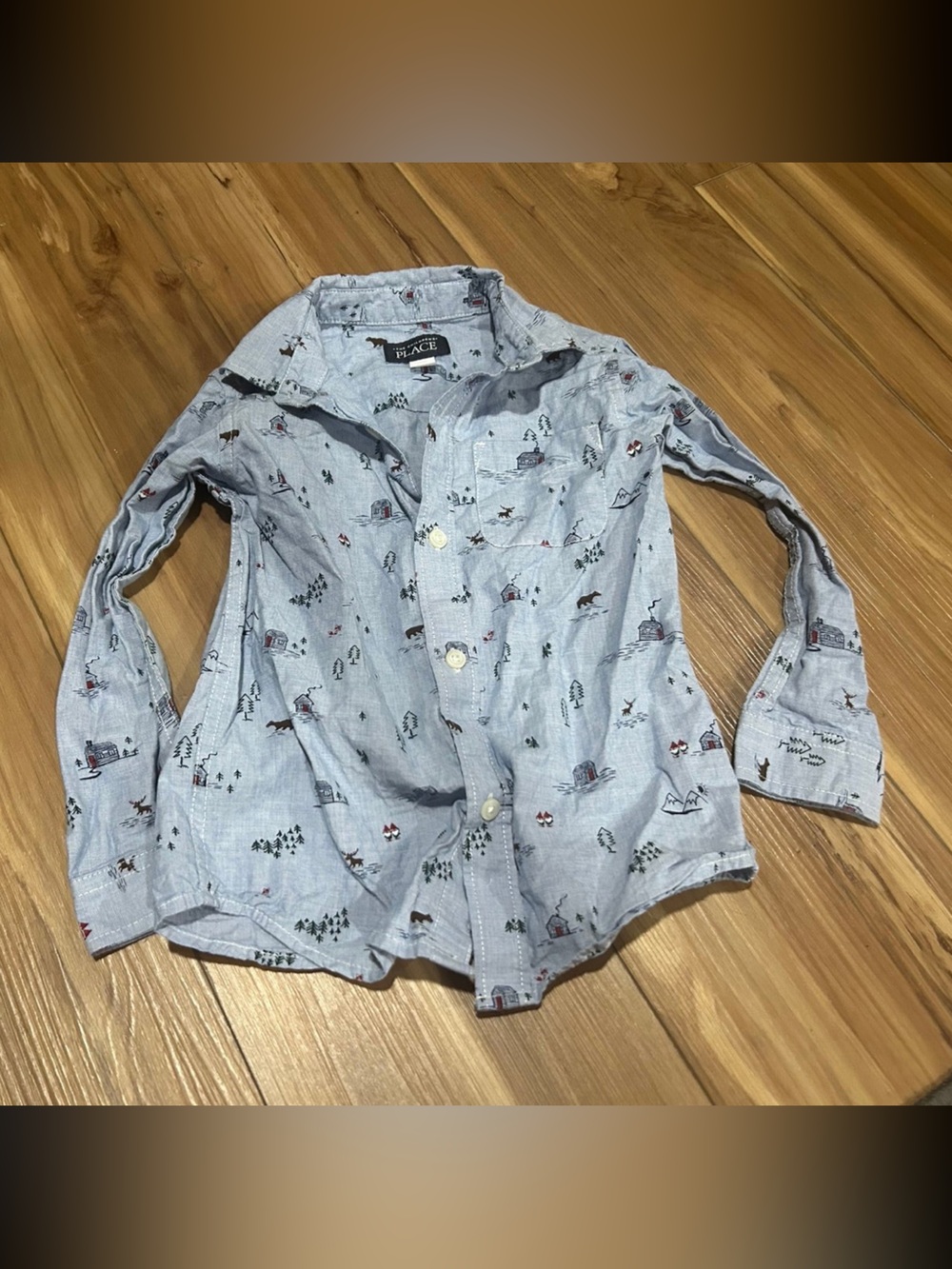 The Childrens Place Camping Causal Button Down Size 4T